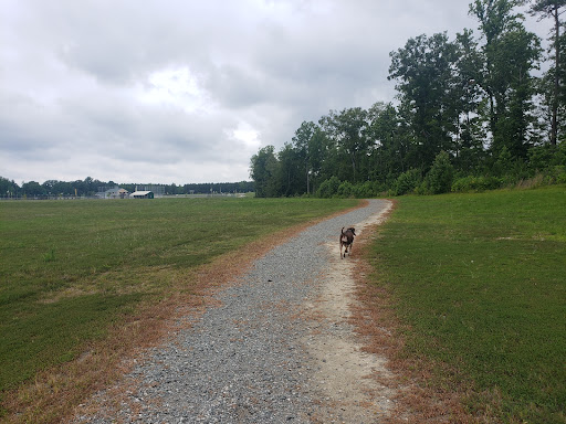 Pine Fork Park - Visual