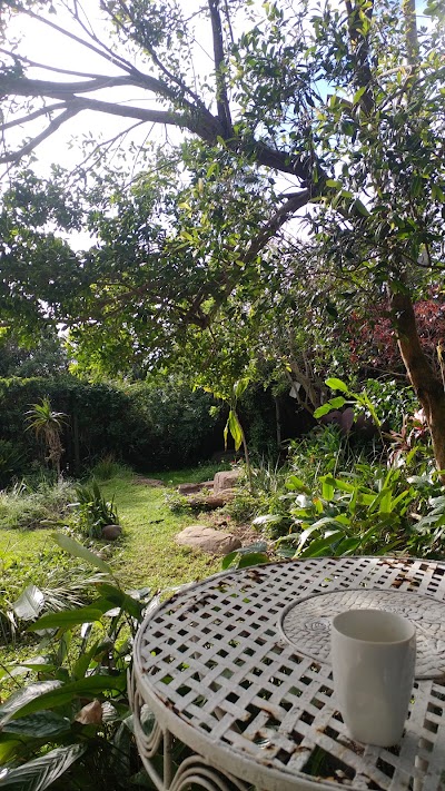 Photos of D'Urban Elephant Guest House