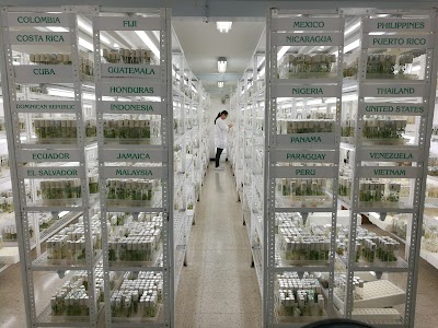 Photos of International Center for Tropical Agriculture