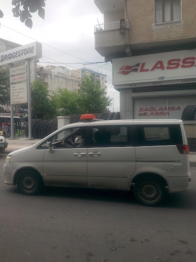 Photos of Lassa-akyıl
