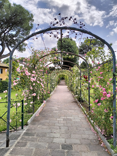 Roseto comunale - Visual