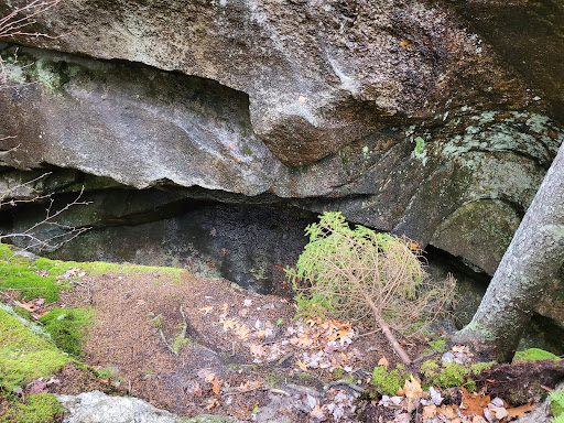 Moose Cave - Visual