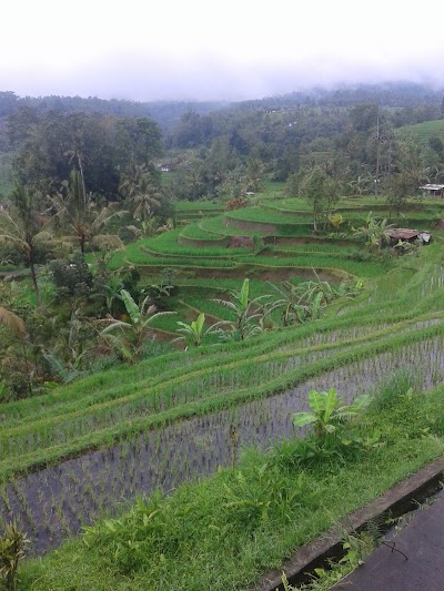 Photos of Bali go go tour