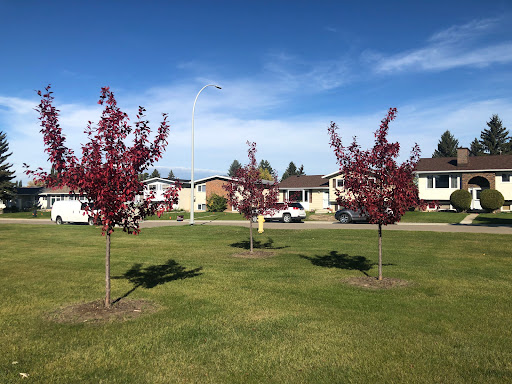 Beechmont Park - Visual