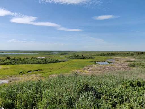 North Brigantine Natural Area - Thumbnail