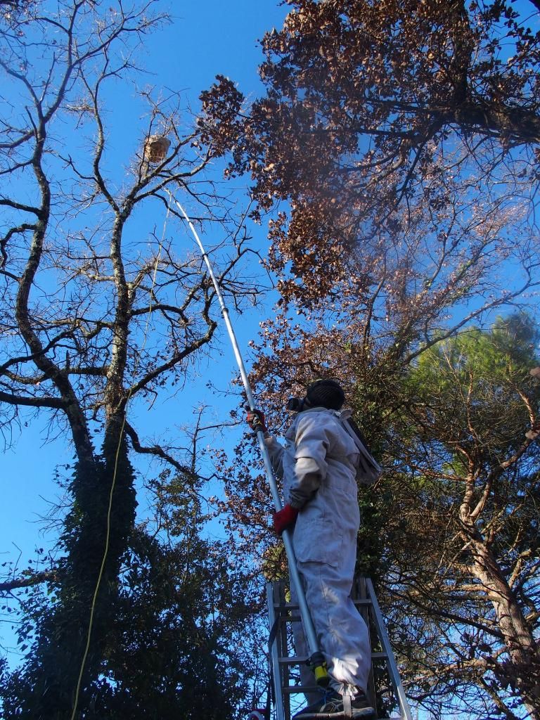 Agence Varoise Multiservices AVMS