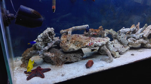 Acuario Tamazula - Thumbnail