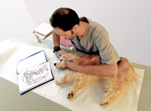 Photo n°5 de Fabien COURNAC à Narbonne (Kinésithérapeute)