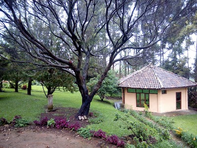Photos of Kibira Park Lodge