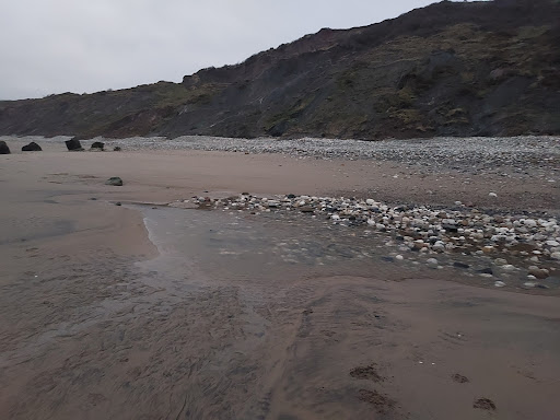 Speeton Beach