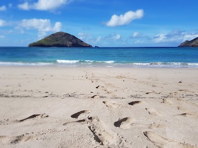 Photos of Moheli Marine Park