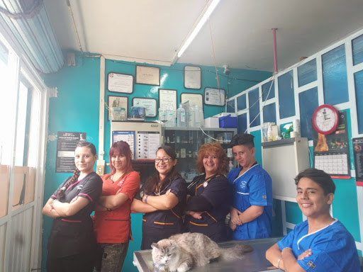 Clínica Veterinaria Guppy