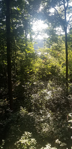 Soldiers Memorial Park MTB Trailhead - Thumbnail