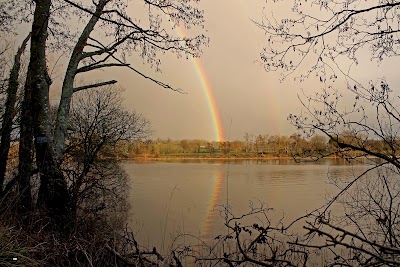 Photos of O'BriensBridge Riverside Walk