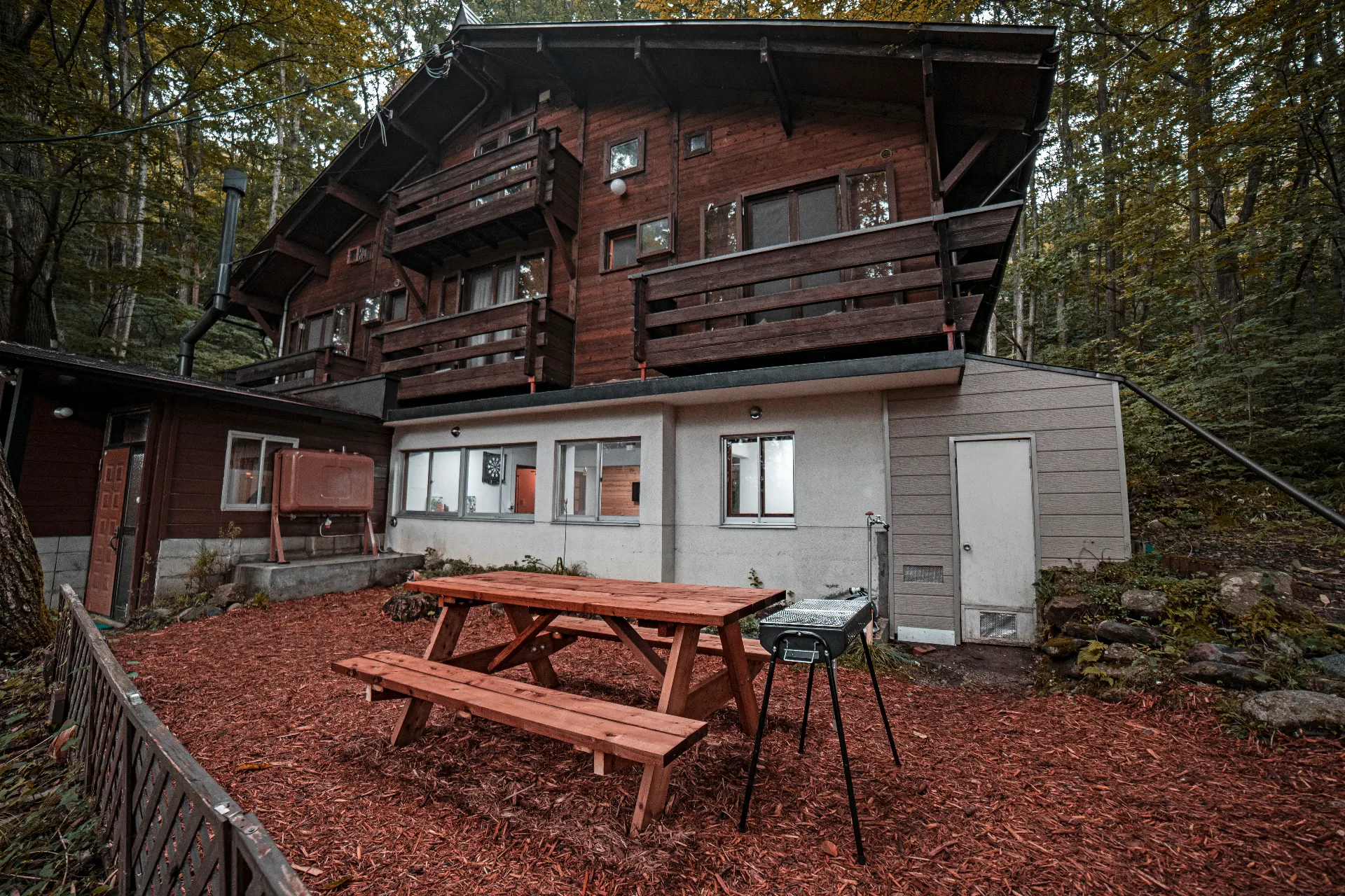 The Jungle House