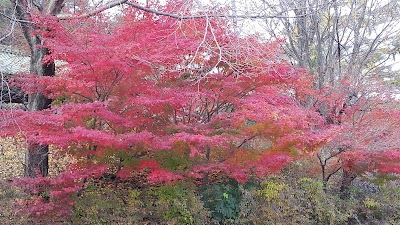 Photos of 산호가든농원