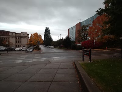 The Valley Library