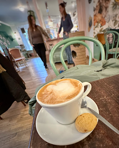 Kattencafé Skatjes Gallery - Netherlands