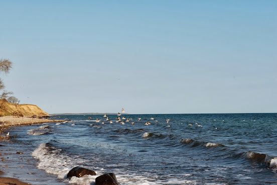 WEISSENHAUS Private Nature Luxury Resort by null