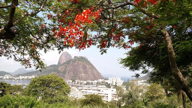 Lookout Hill Pasmado