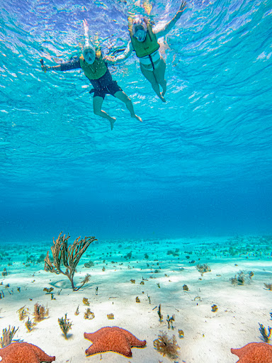 Kalemo Tours - Visual