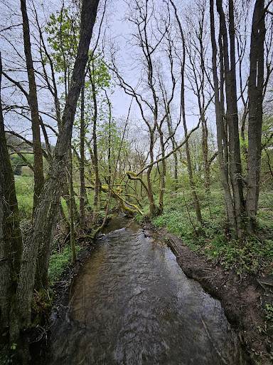 Dalby Forest - Visual