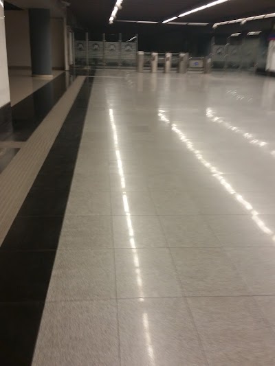 Photos of Estaci&oacute;n Francisco Gregorio Billini, L2