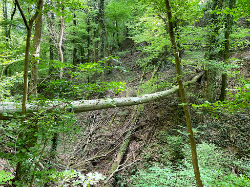Ungeheuerklamm - Thumbnail