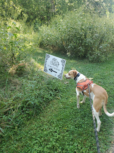 Belleau Woods Park - Thumbnail
