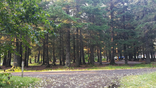 Forest Acres Campground - Thumbnail