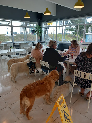 Café de Ryde - Visual