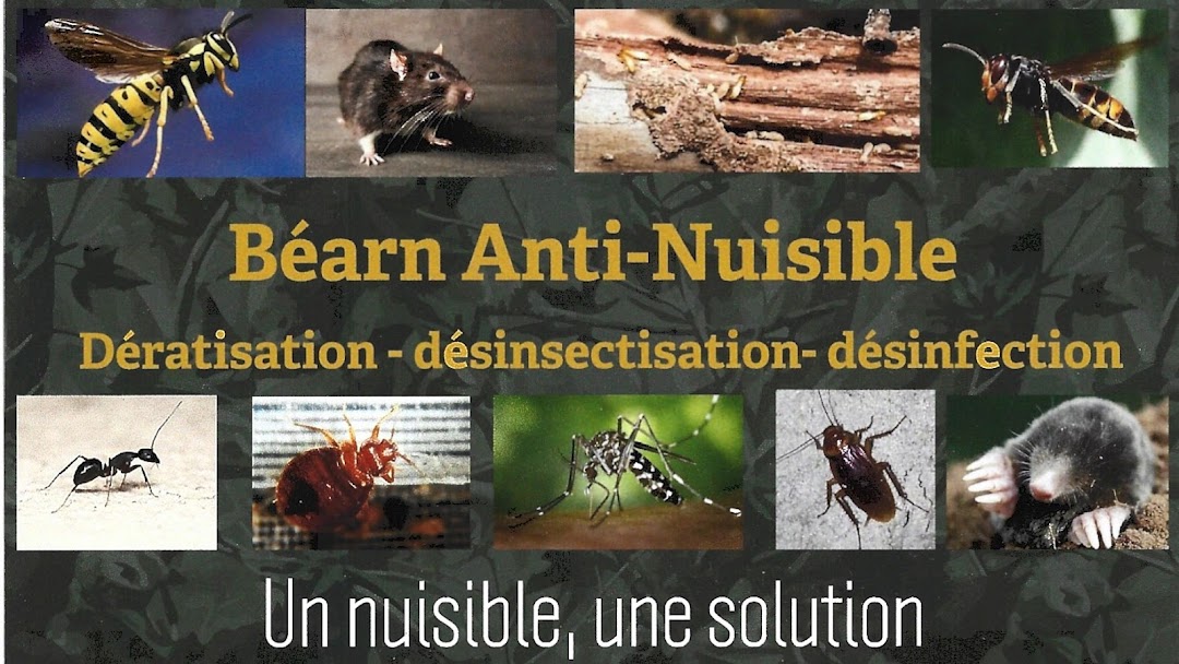 Belair Anti Nuisibles - Dératisation, désinsectisation et désinfection