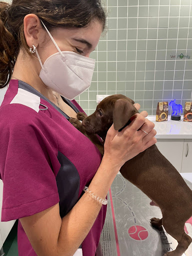 Clínica veterinaria Vet Family Alfafar