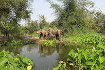 ElephantsWorld, Kanchanaburi, Thailand