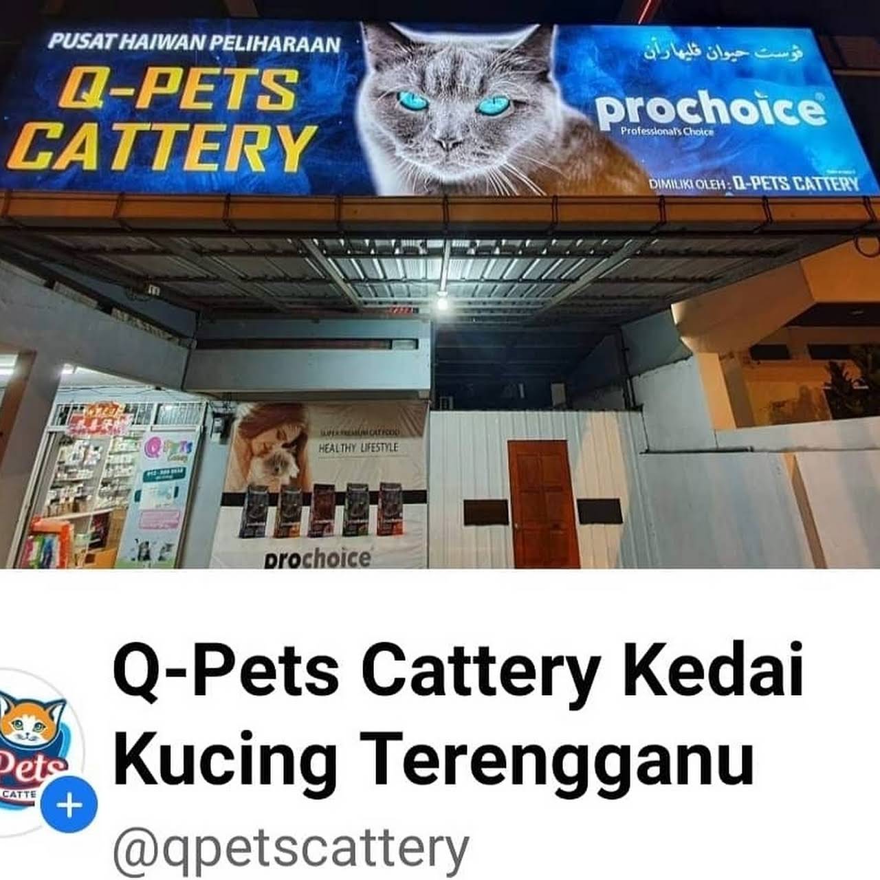 Q Pets Cattery Kedai Kucing Kuala Terengganu Pet Store In Kuala Terengganu