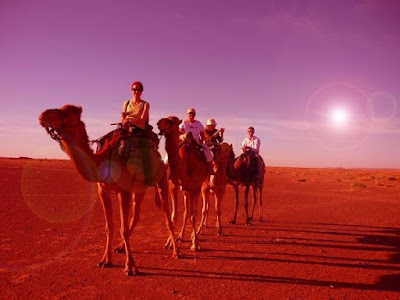 Photos of Morocco Private Tours - Customized Luxury Morocco Travel Packages - Morocco Shiny Days