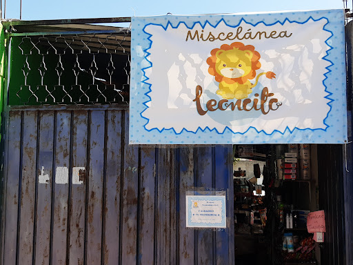 Miscelánea Leoncito