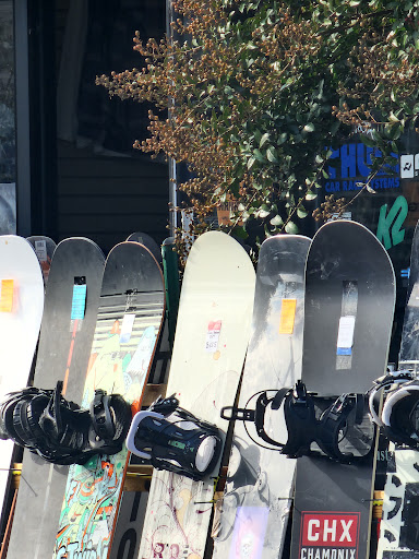The Ski Bum - Thumbnail