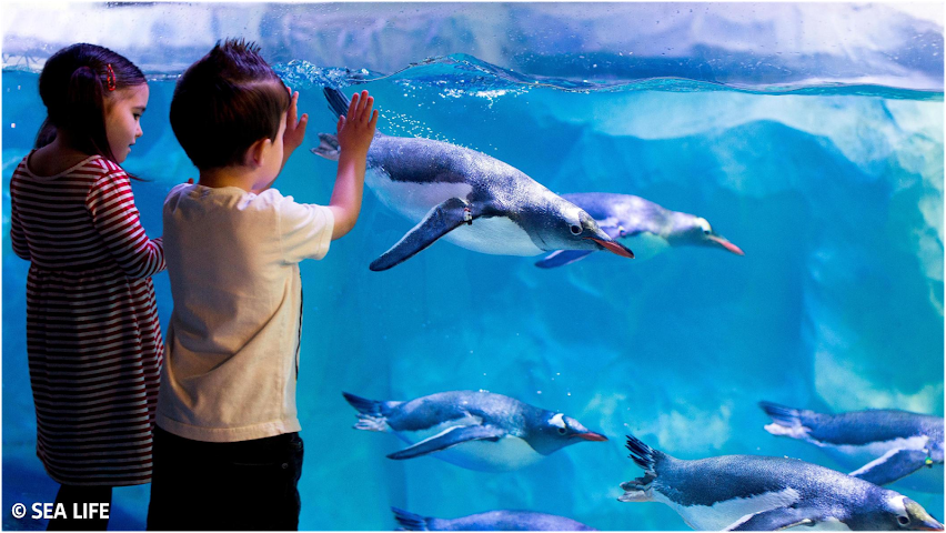 SEA LIFE Konstanz by null