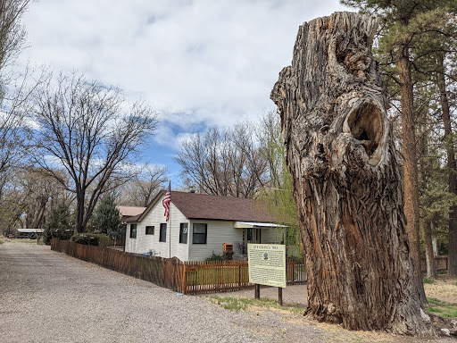 Ute Council Tree - Trunk Monument