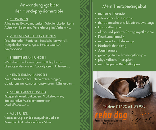 Reha Dog Hundephysiotherapie Eva Brancati