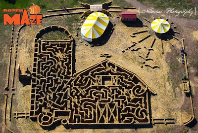 Bozeman Maze