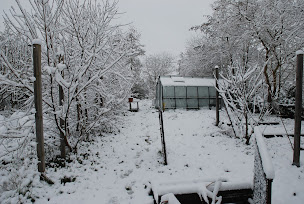 Photo n°20 de La ferme enchantée à Montestruc-sur-Gers (Ferme bio)