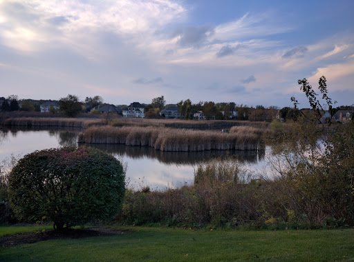 Wedgewood Subdivision - Wetlands