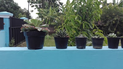 Photos of MDN sport Pusat Sepatu Murah