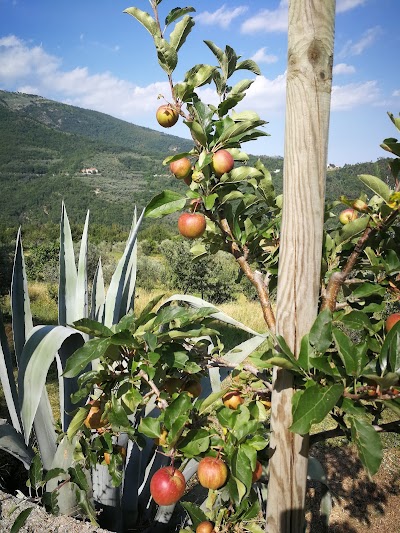 Mnemosine, il Parco di Onzo