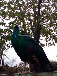 LakeLet Amusement Park Islamabad