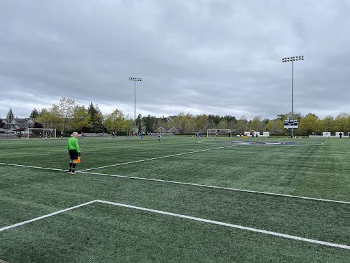 Orca Field - Visual