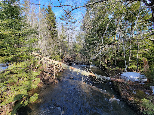 Johnson River Falls - Thumbnail