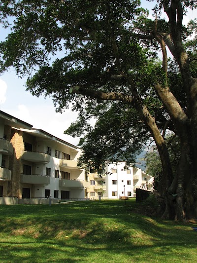 Photos of AVALON - P&aacute;gina Oficial